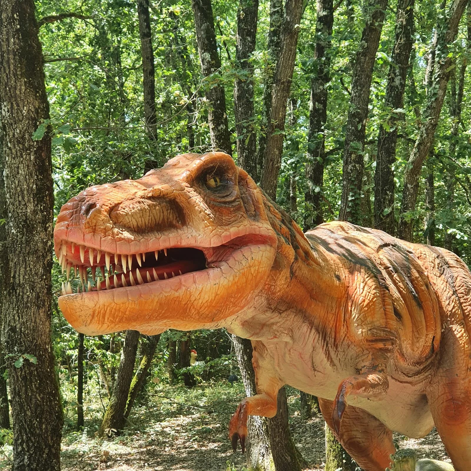 Anima Parc
