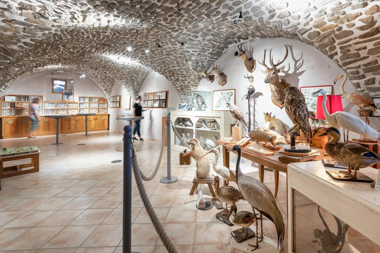 Le Refuge des Animaux