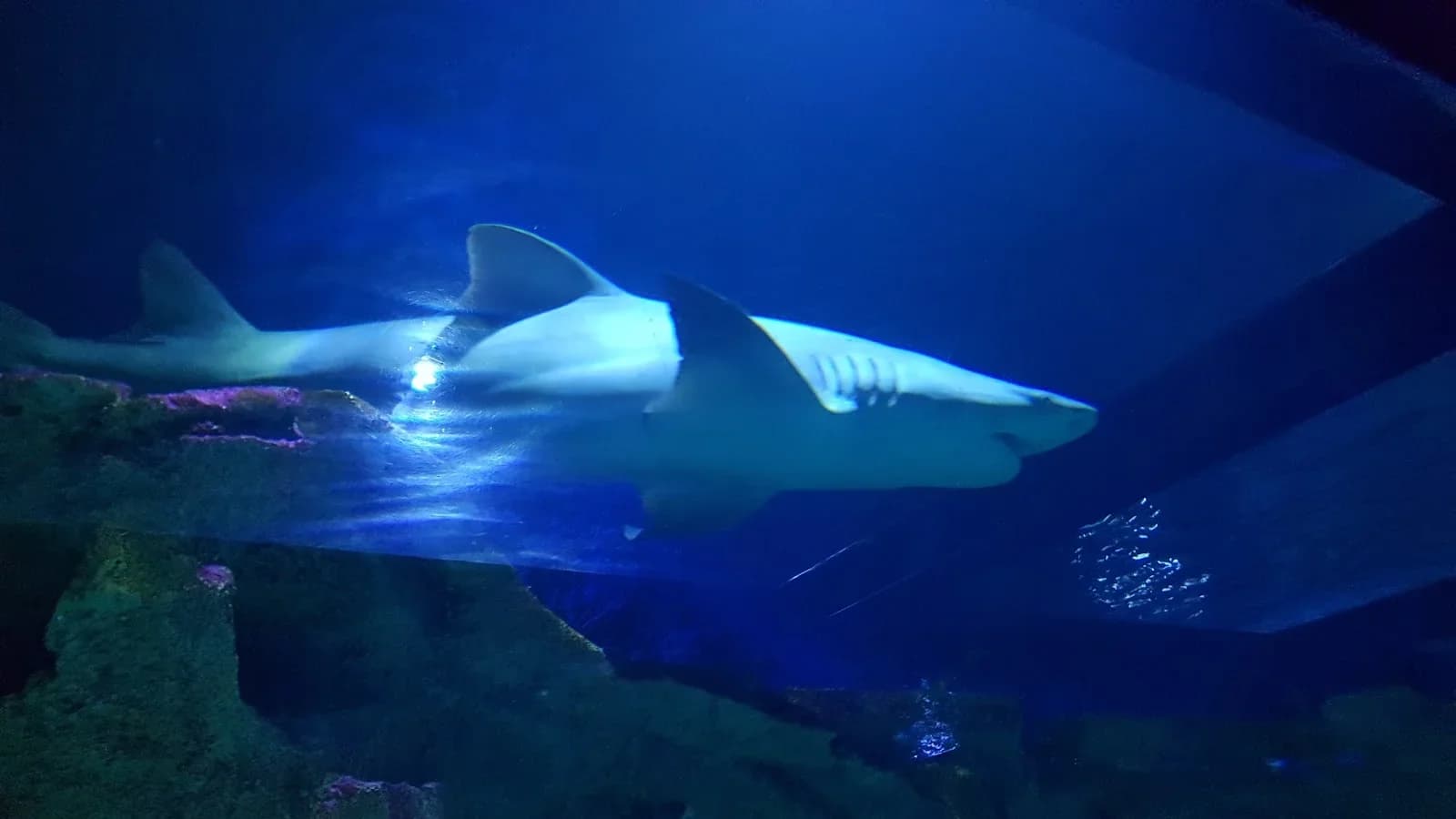 Aquarium de Saint Jean du Gard