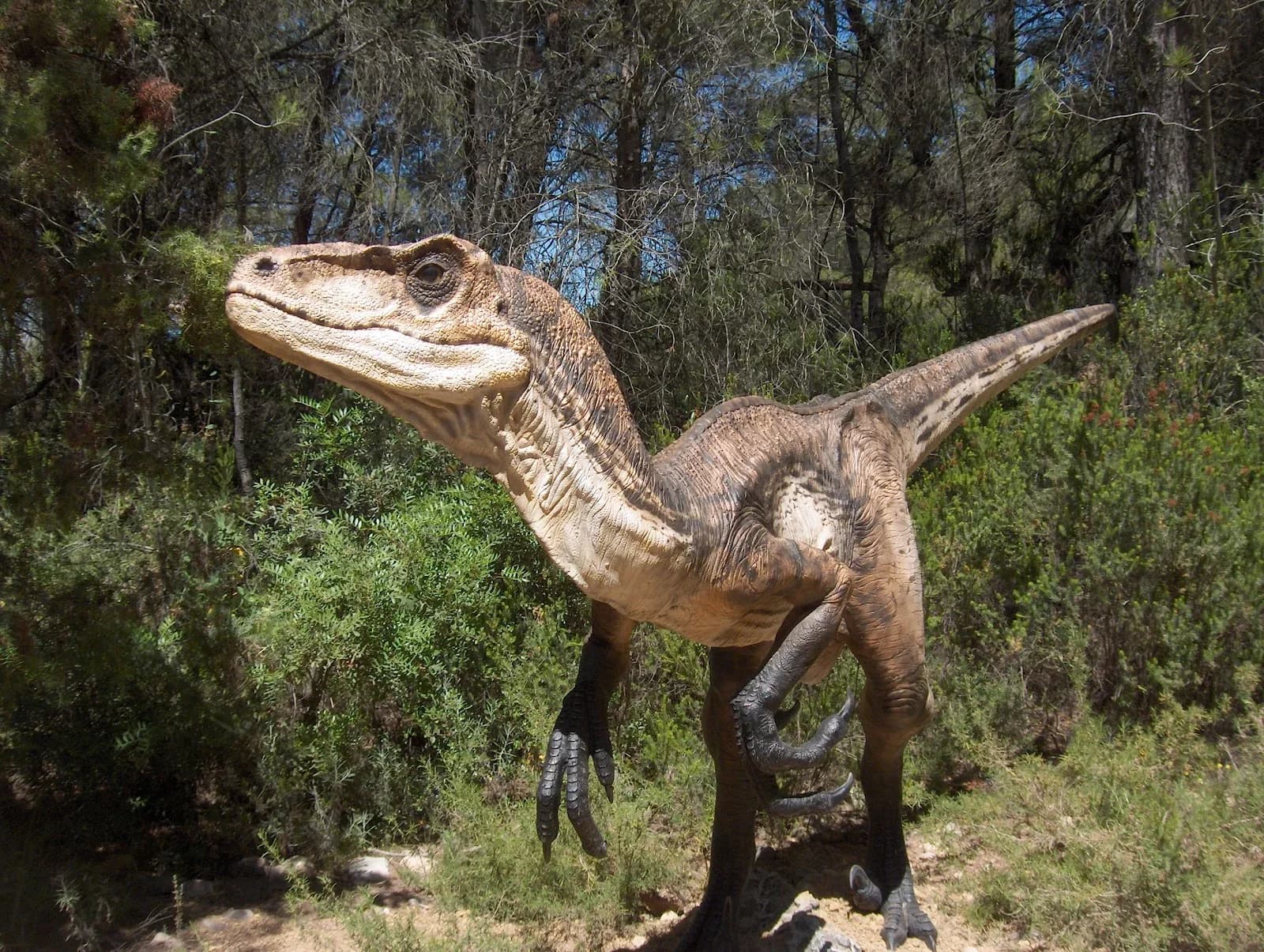 Musée parc des dinosaures de Mèze