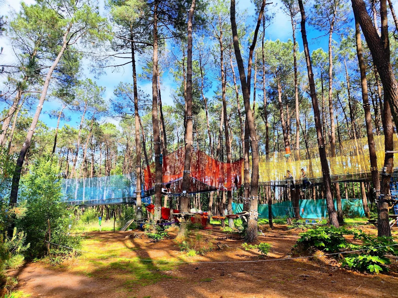 Monkey Forest