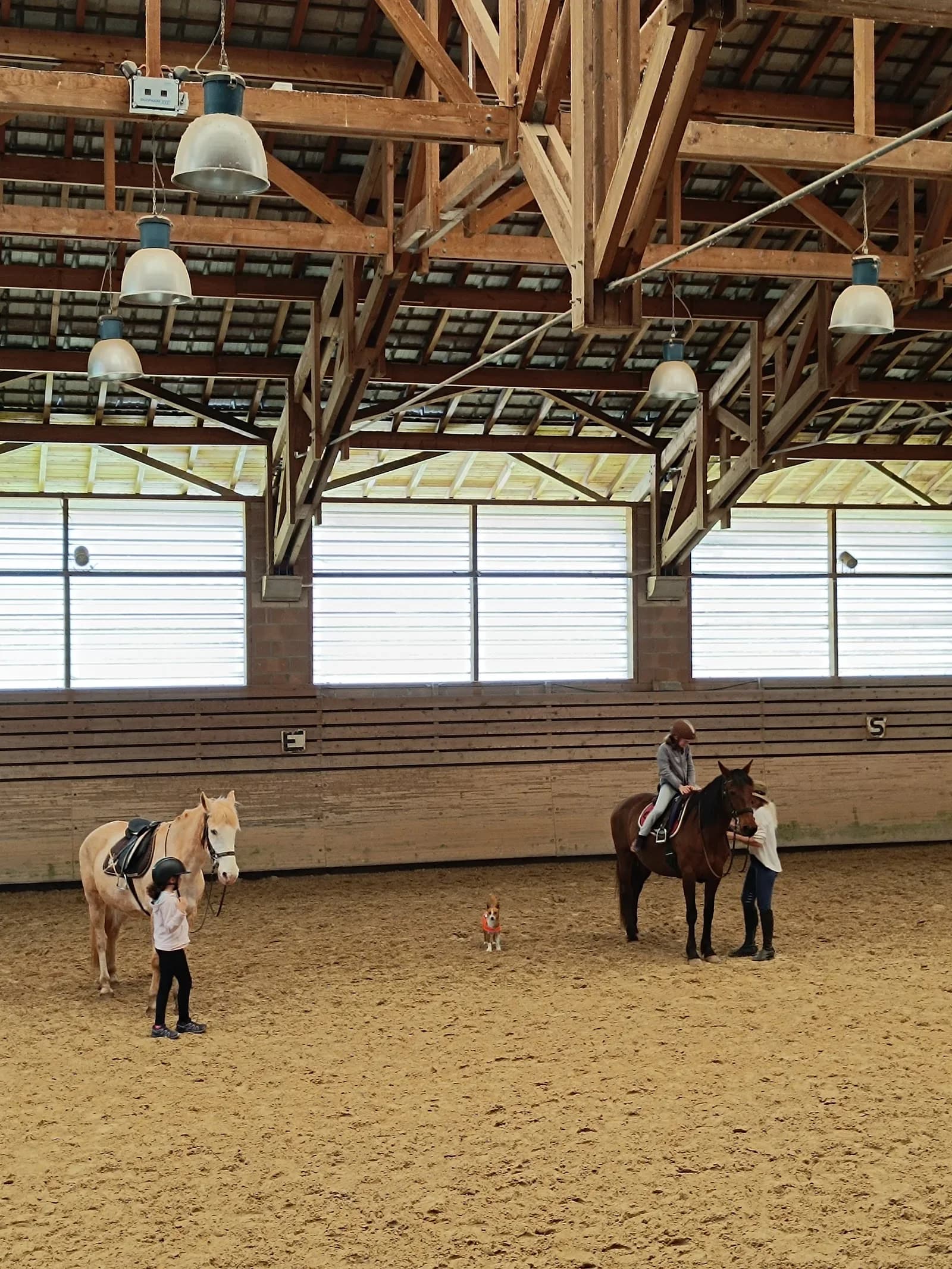 Ecole d'équitation Equizones