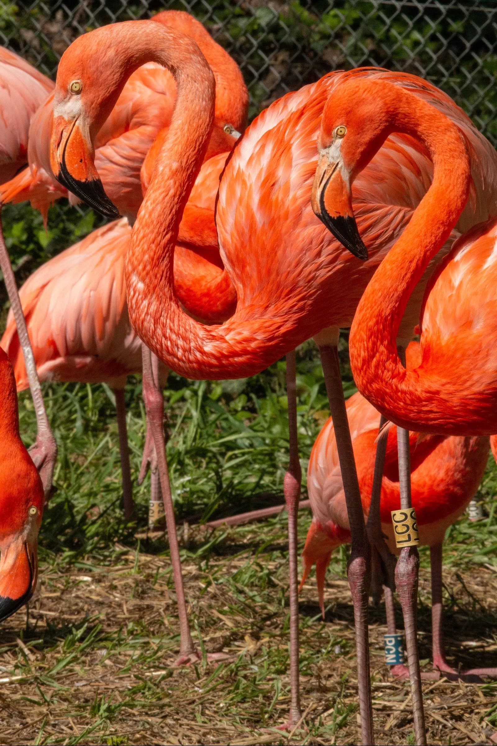 Parc Zoologique et Botanique de Mulhouse