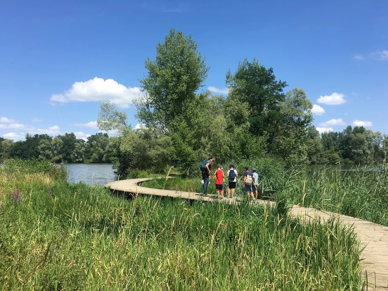 La Gravière aux Oiseaux