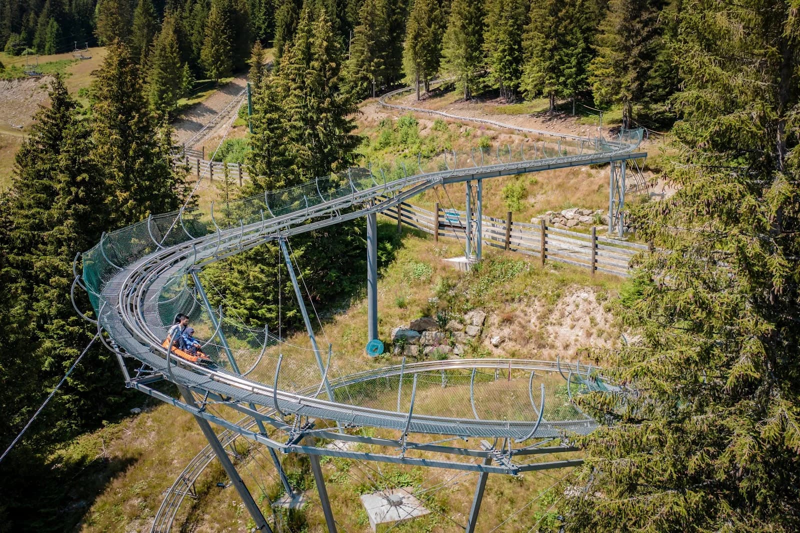 Wiz Luge