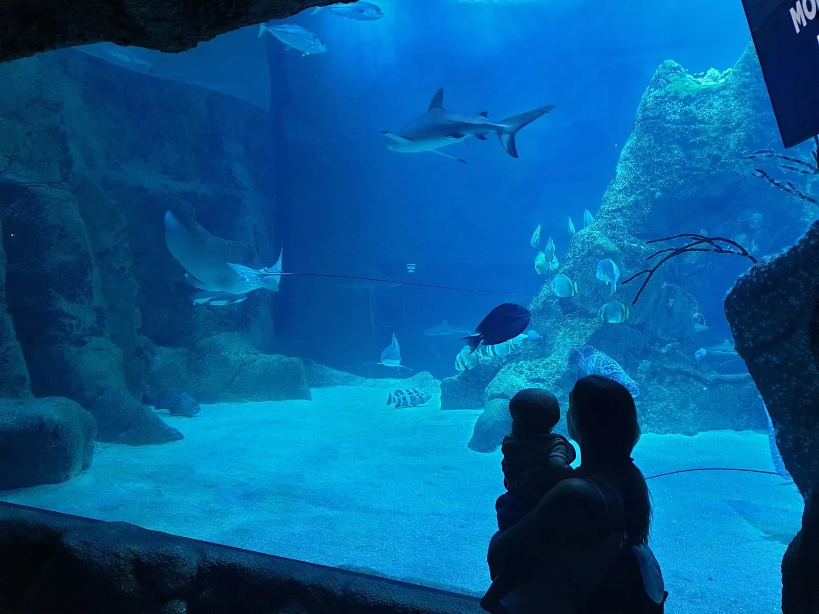 Musée de la Mer de Biarritz