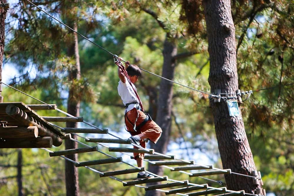 La Palmyre, les Mathes Aventures