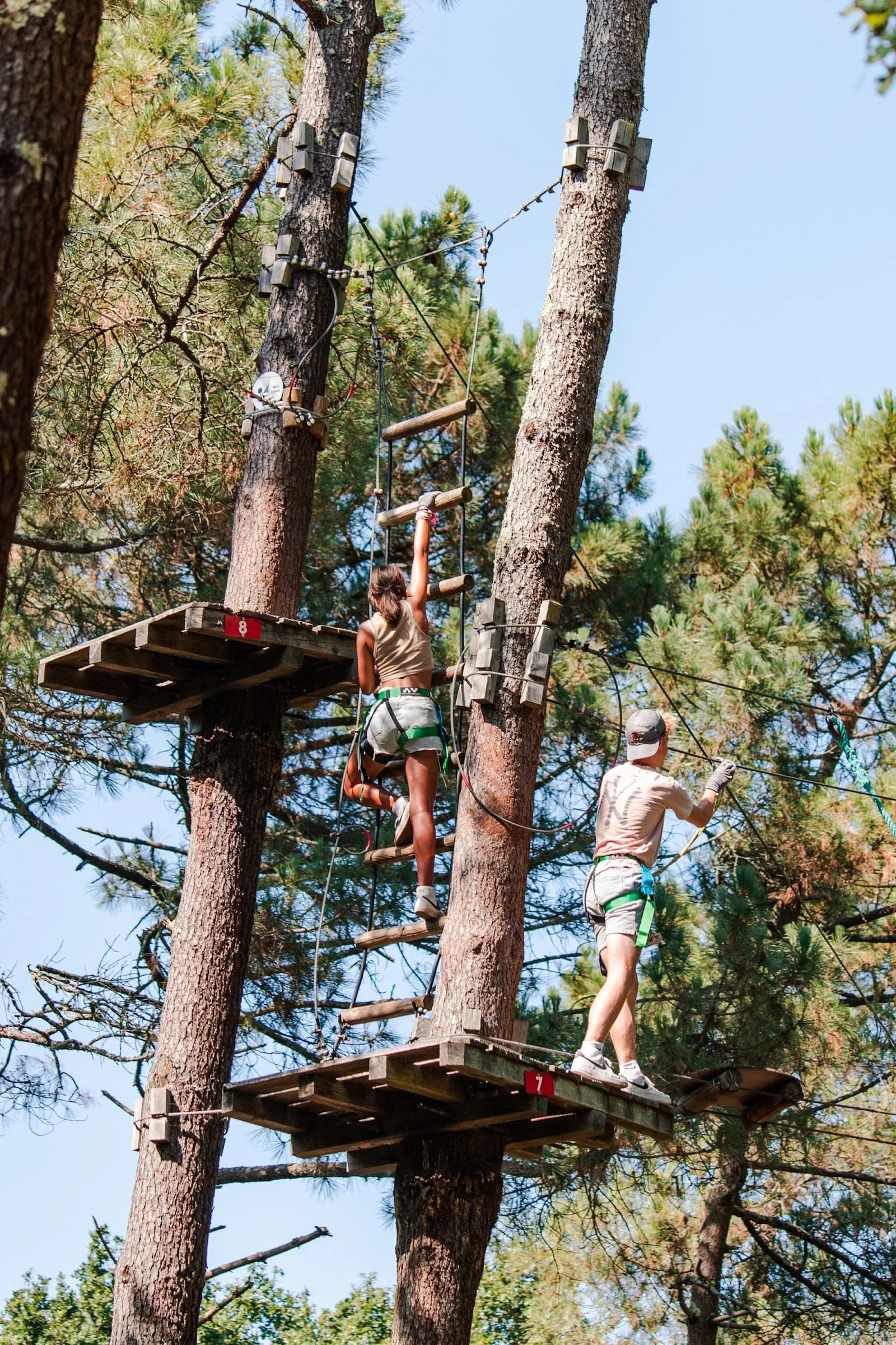 Indian Forest Palmyre Aventure