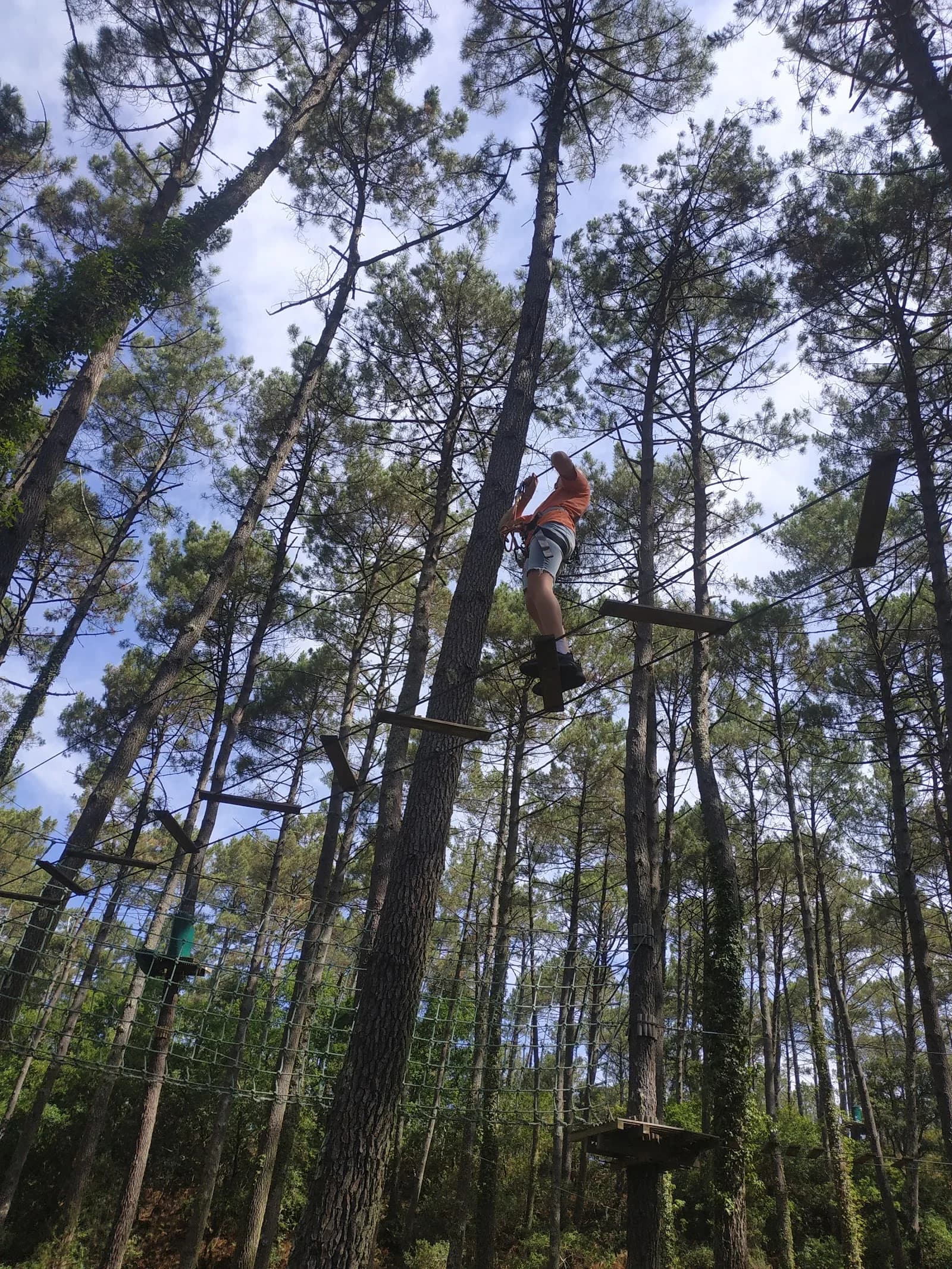Jungle Park