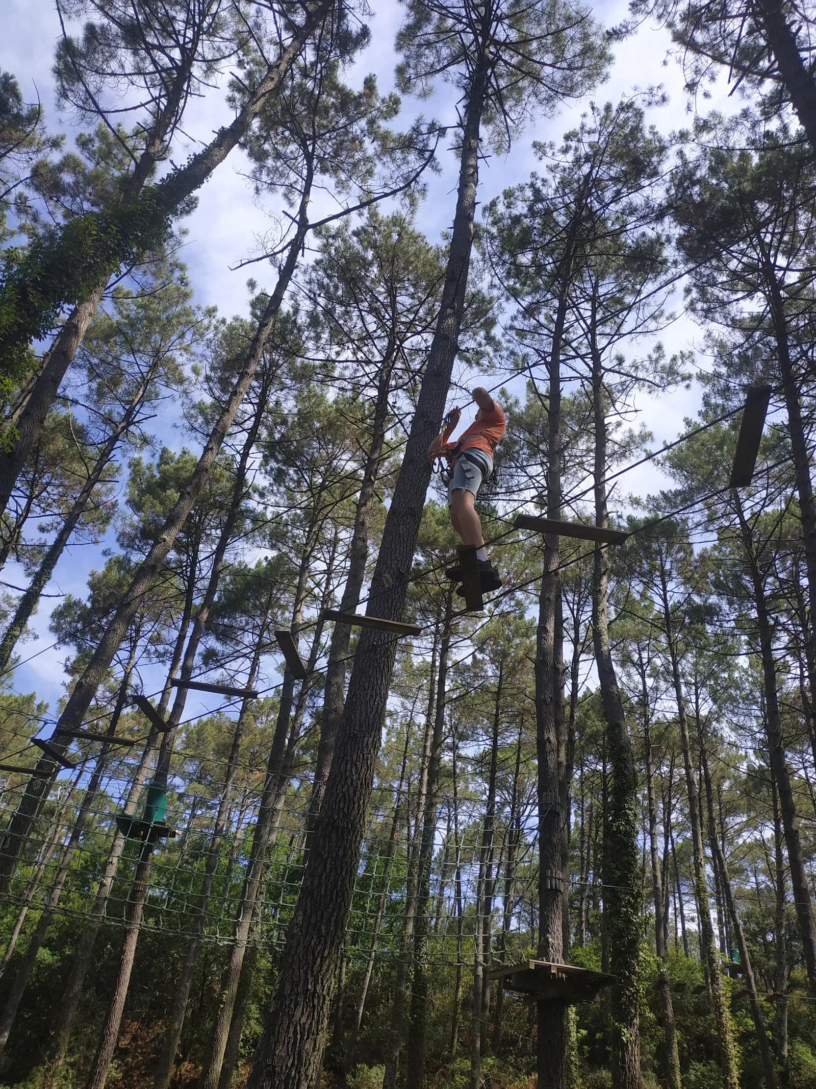 Jungle Park