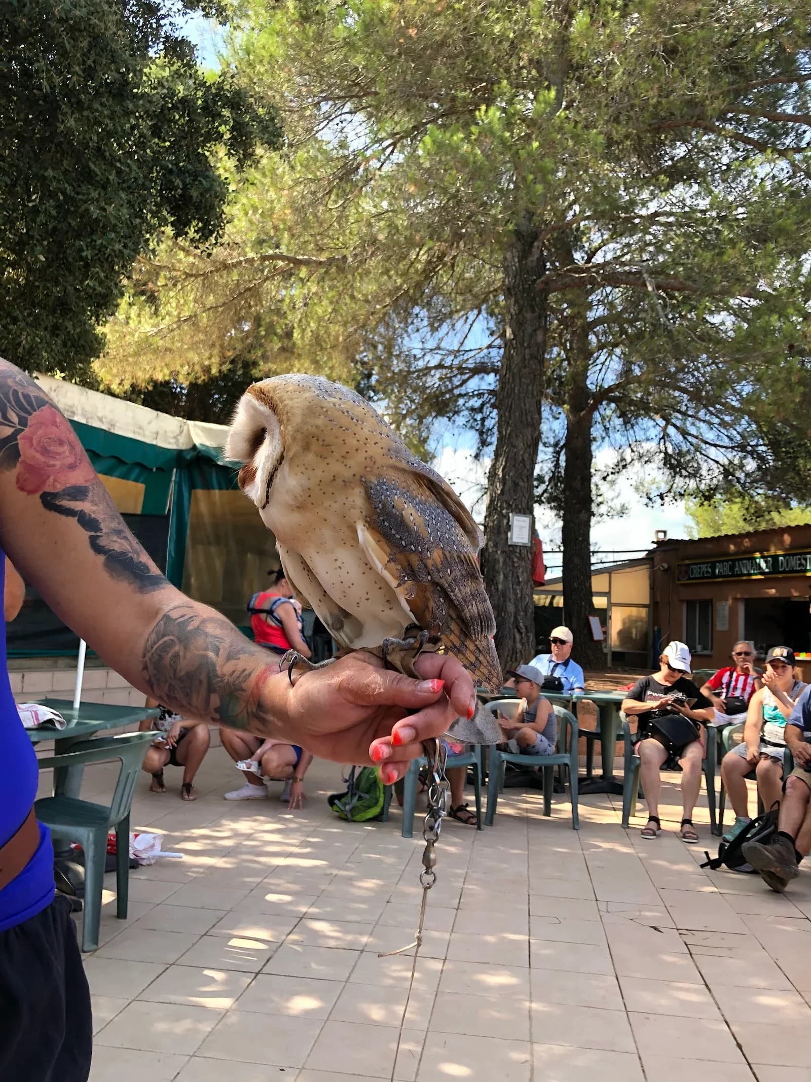 Parc Animalier Domestique
