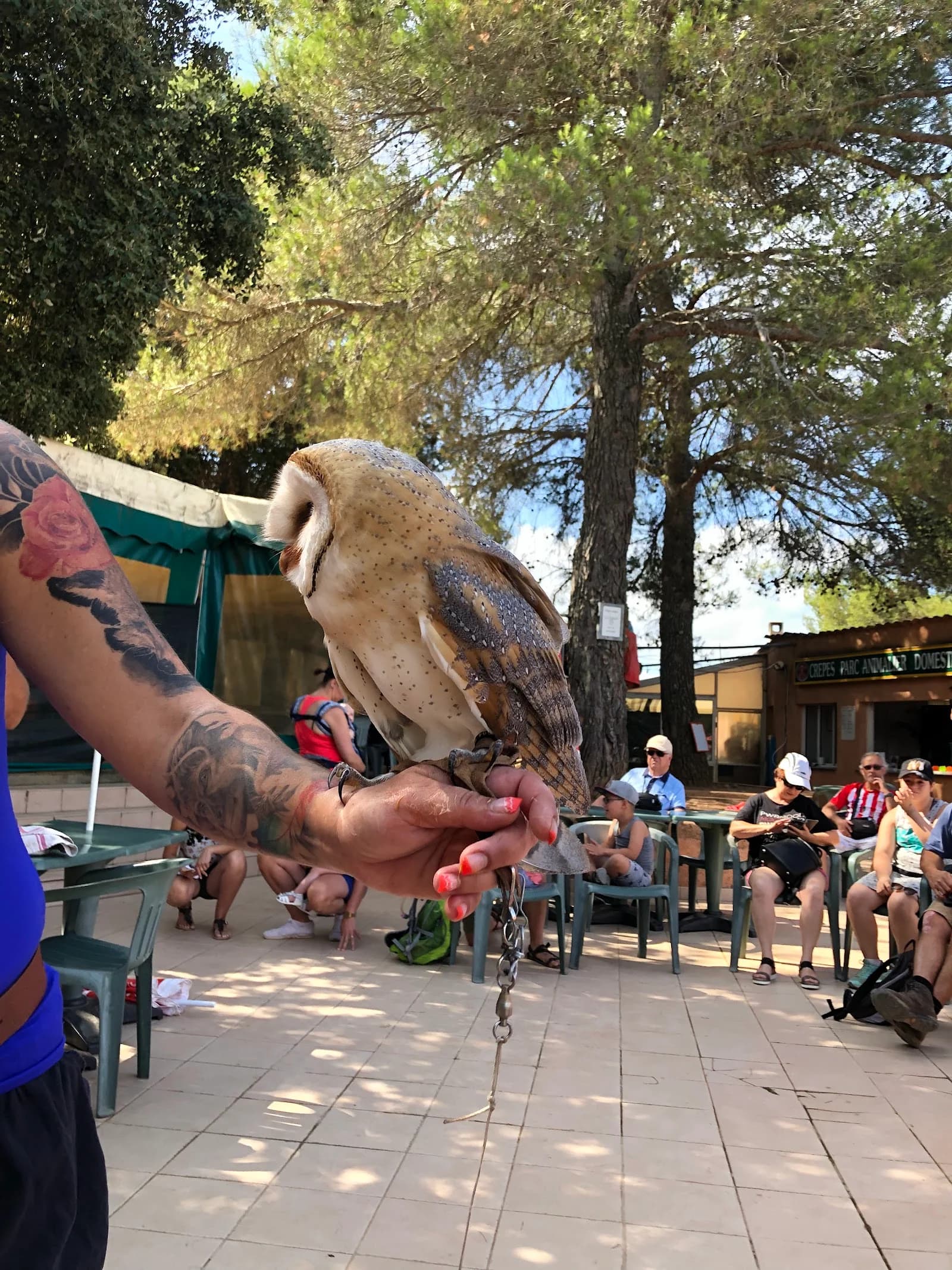 Parc Animalier Domestique