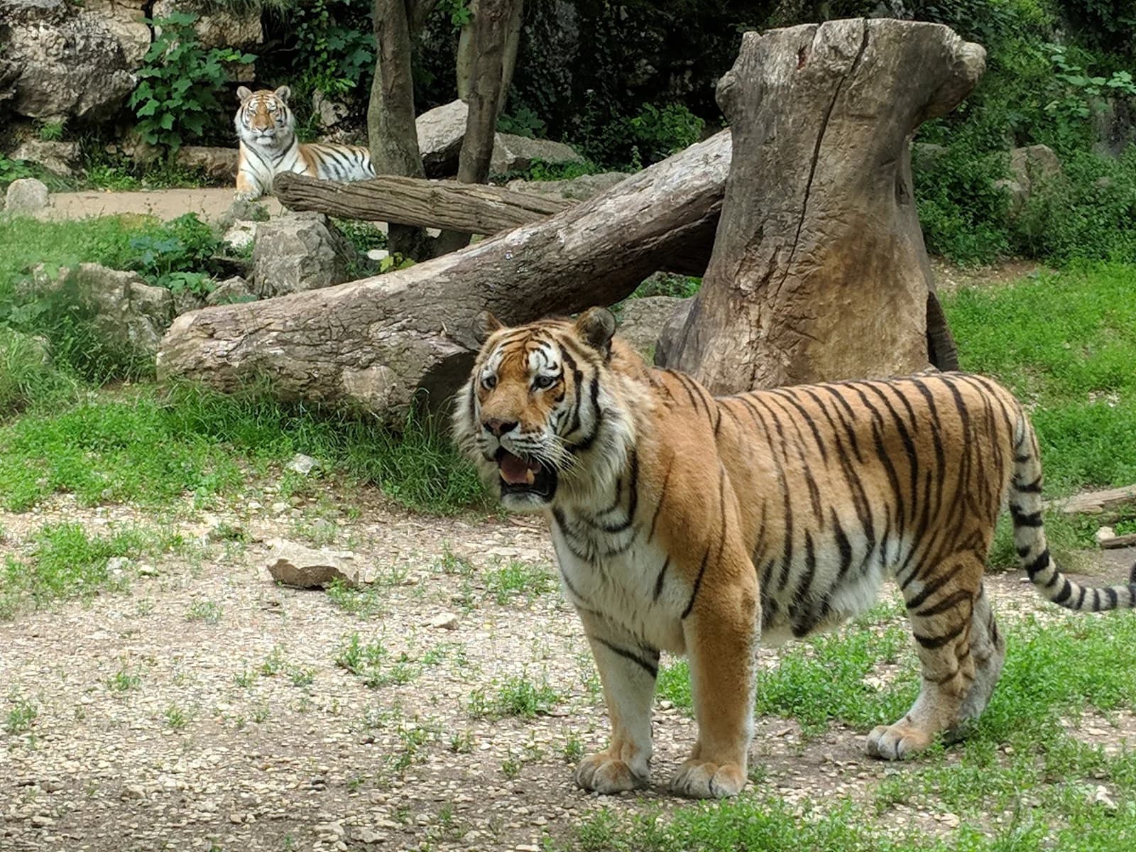 Parc Animalier du Musée