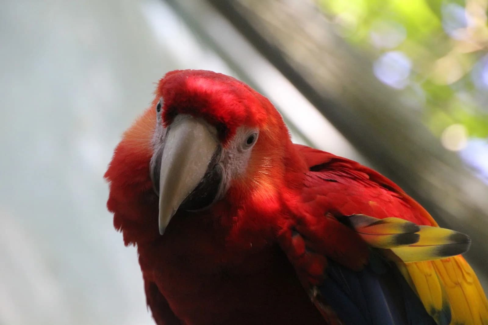 Parc animalier des Bois de Saint-Pierre