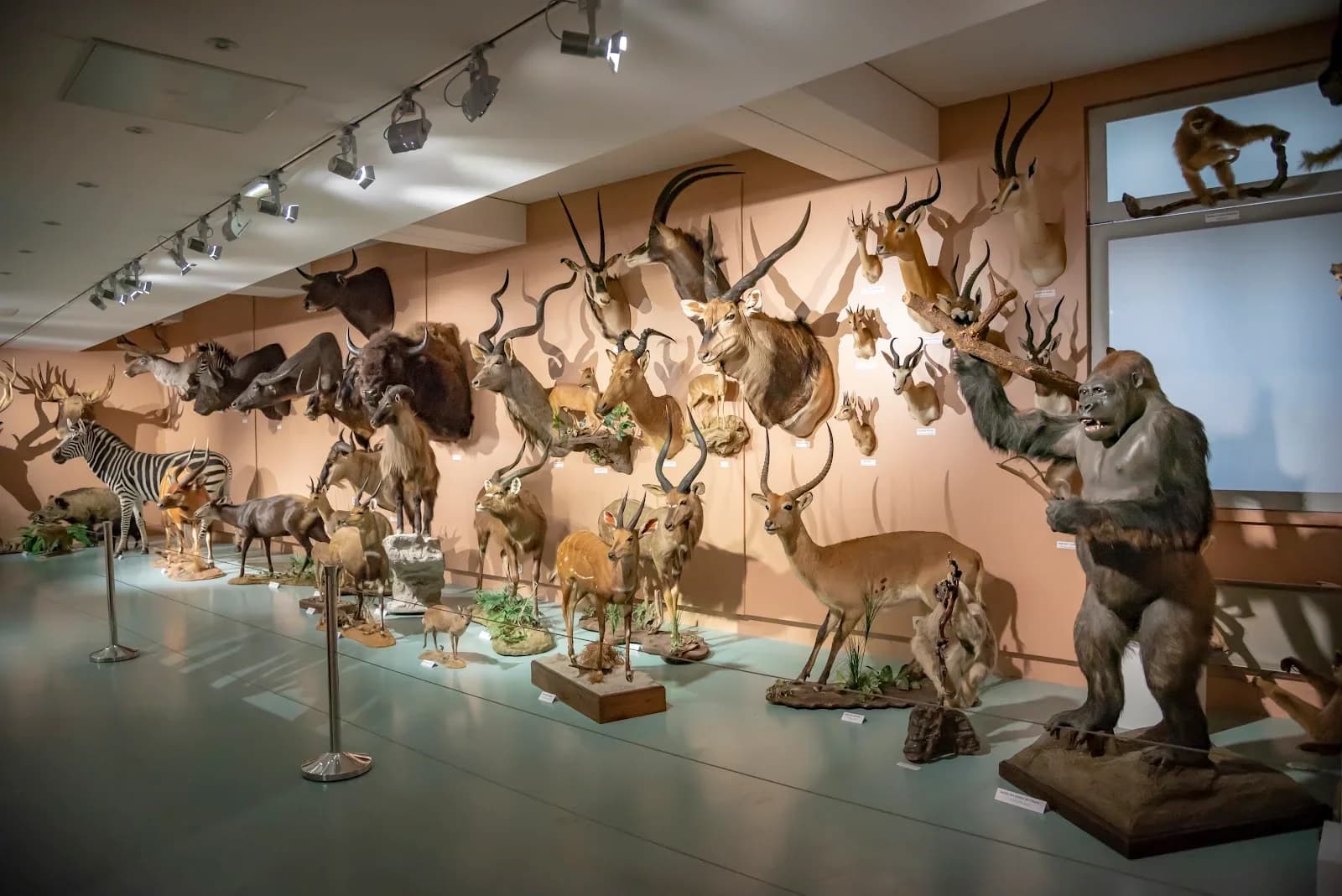 Insectarium du Muséum d'Histoire Naturelle