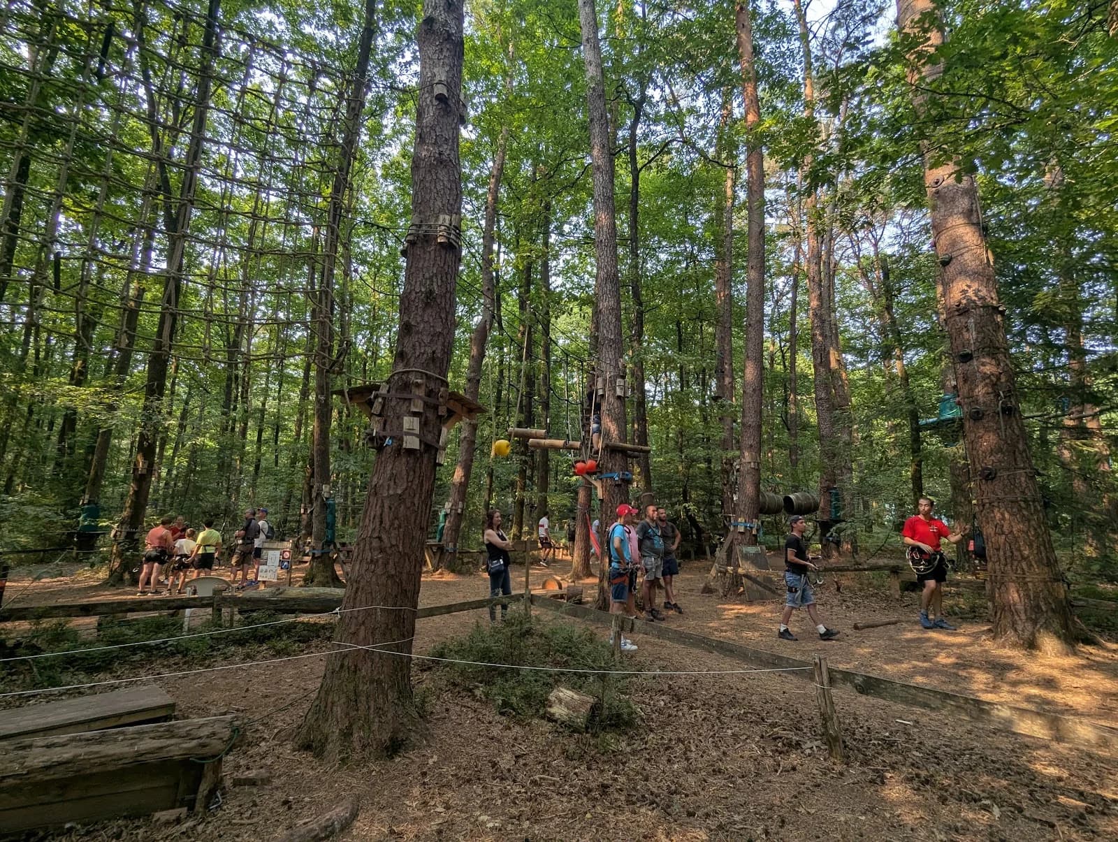 Les Tyroliennes de la Forêt