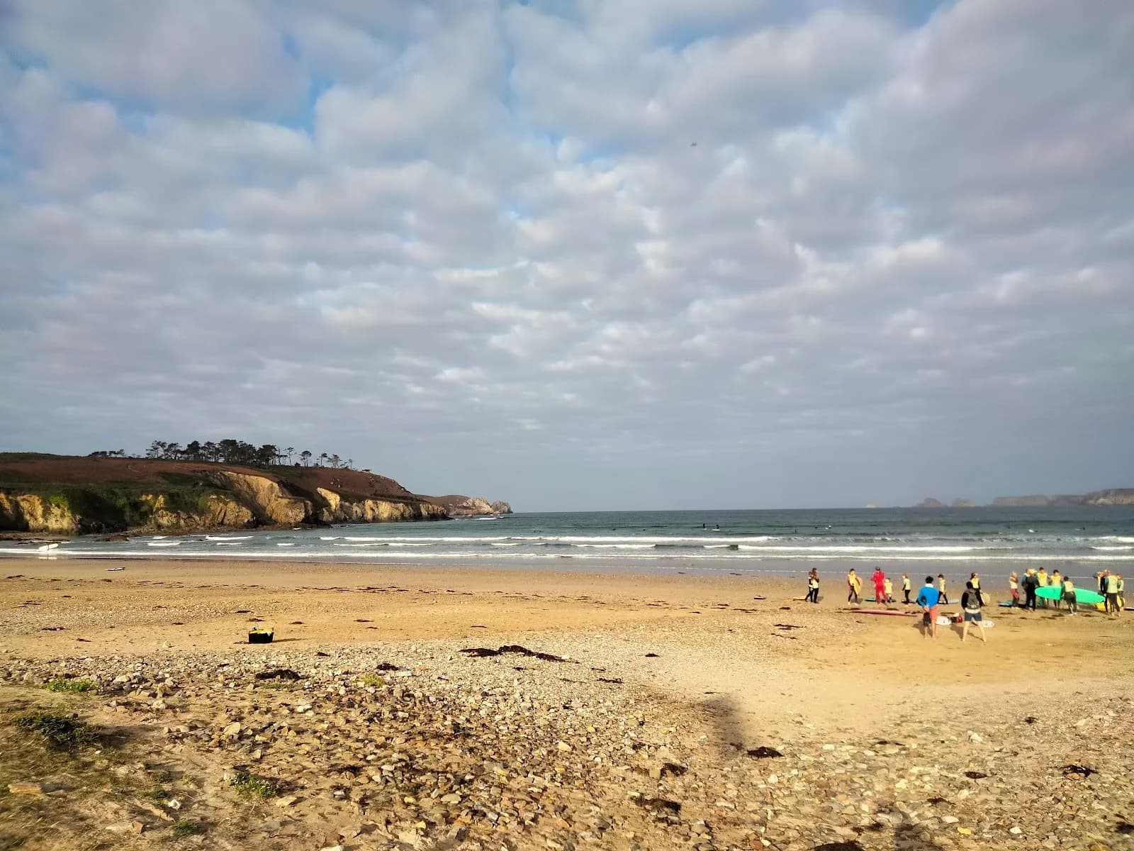 Surfing Sardine