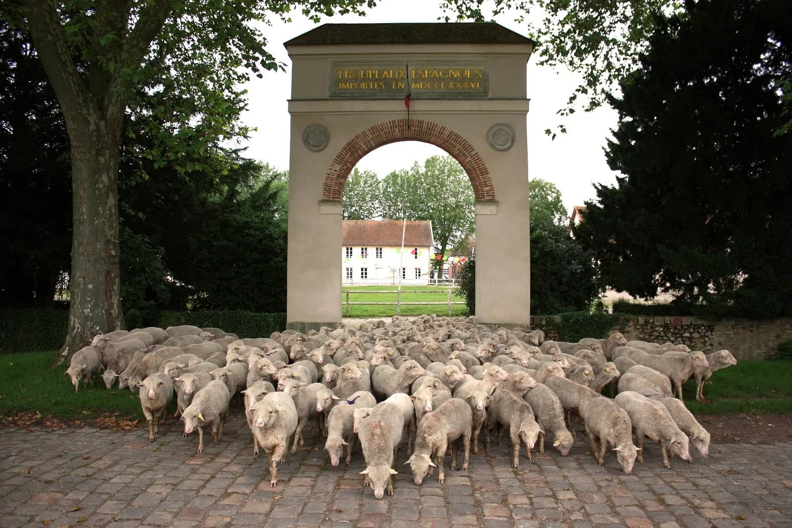 Bergerie Nationale
