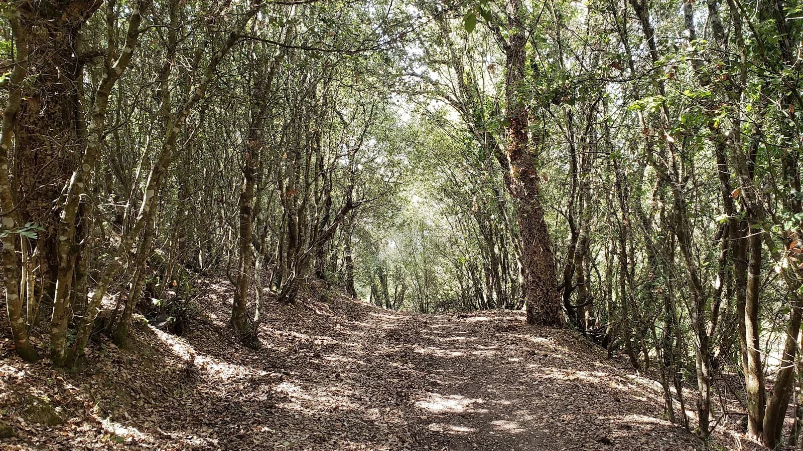 Parc Naturel d'Olva