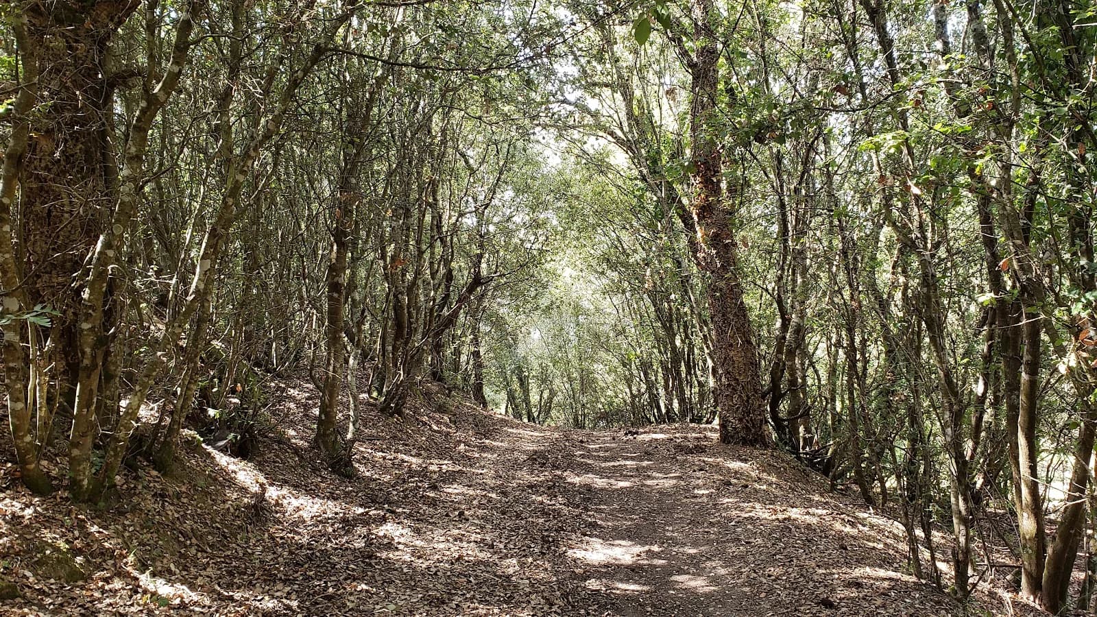 Parc Naturel d'Olva