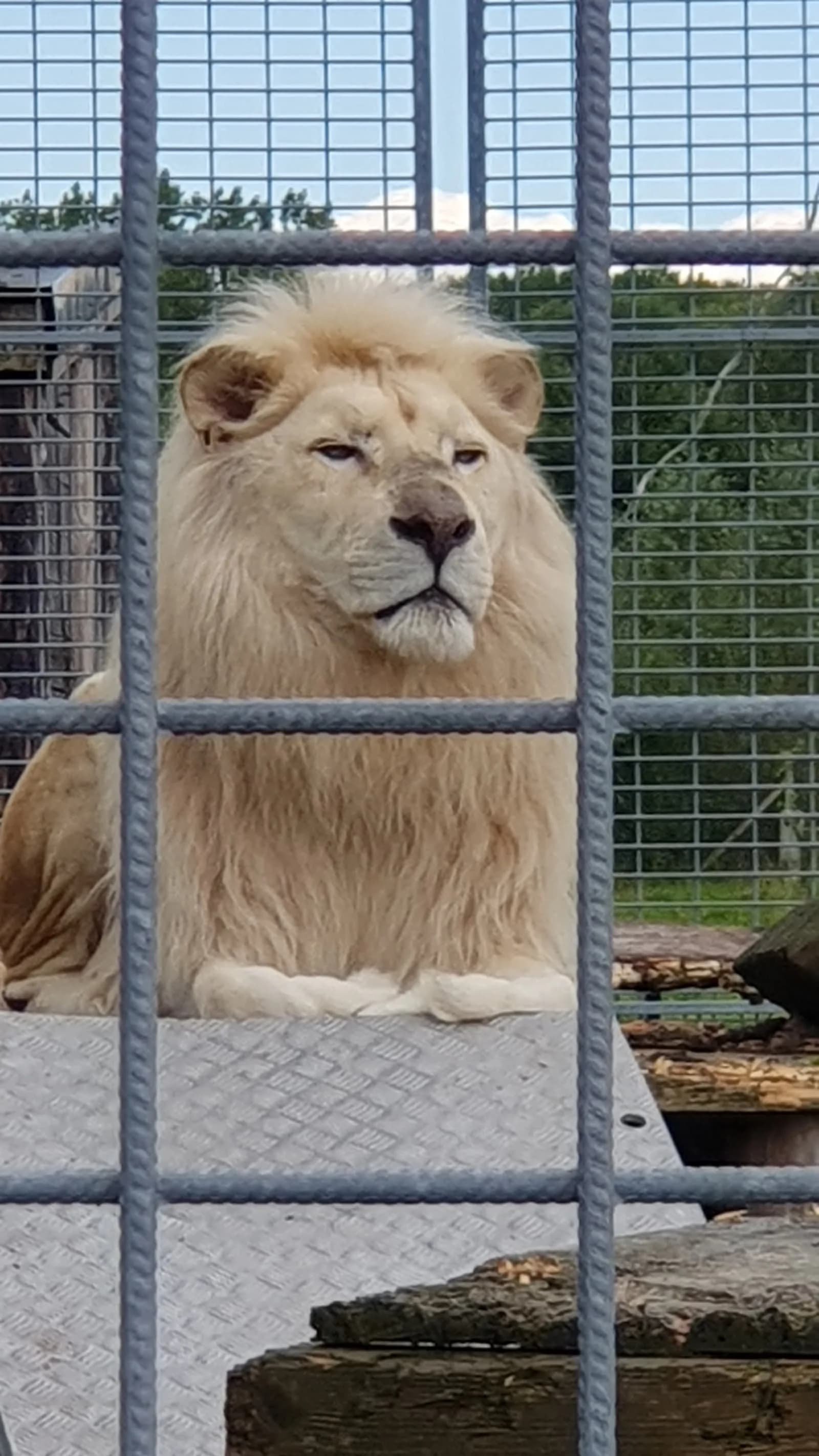 Parc Animalier Saint-Léger