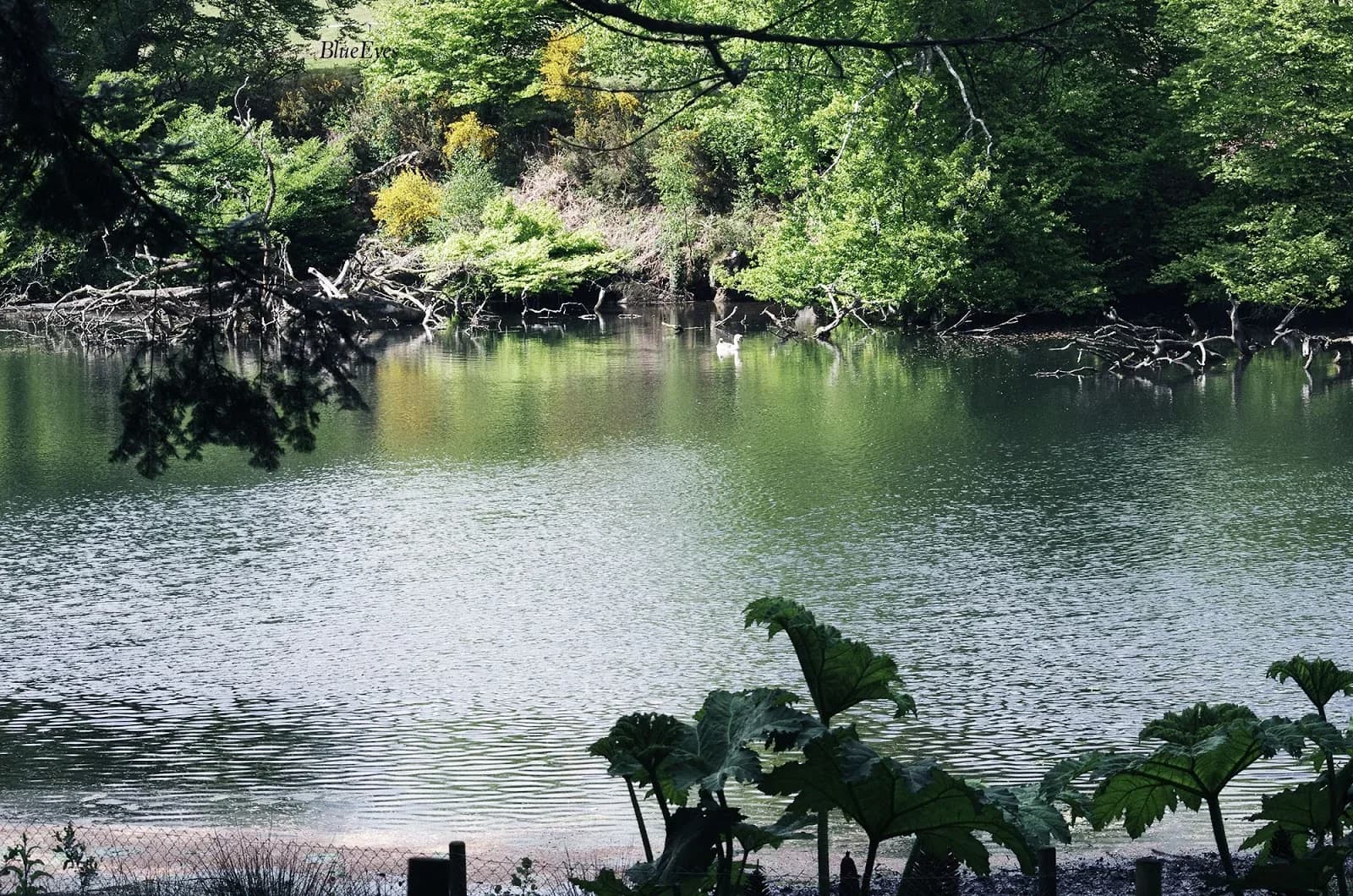 Parc Animalier