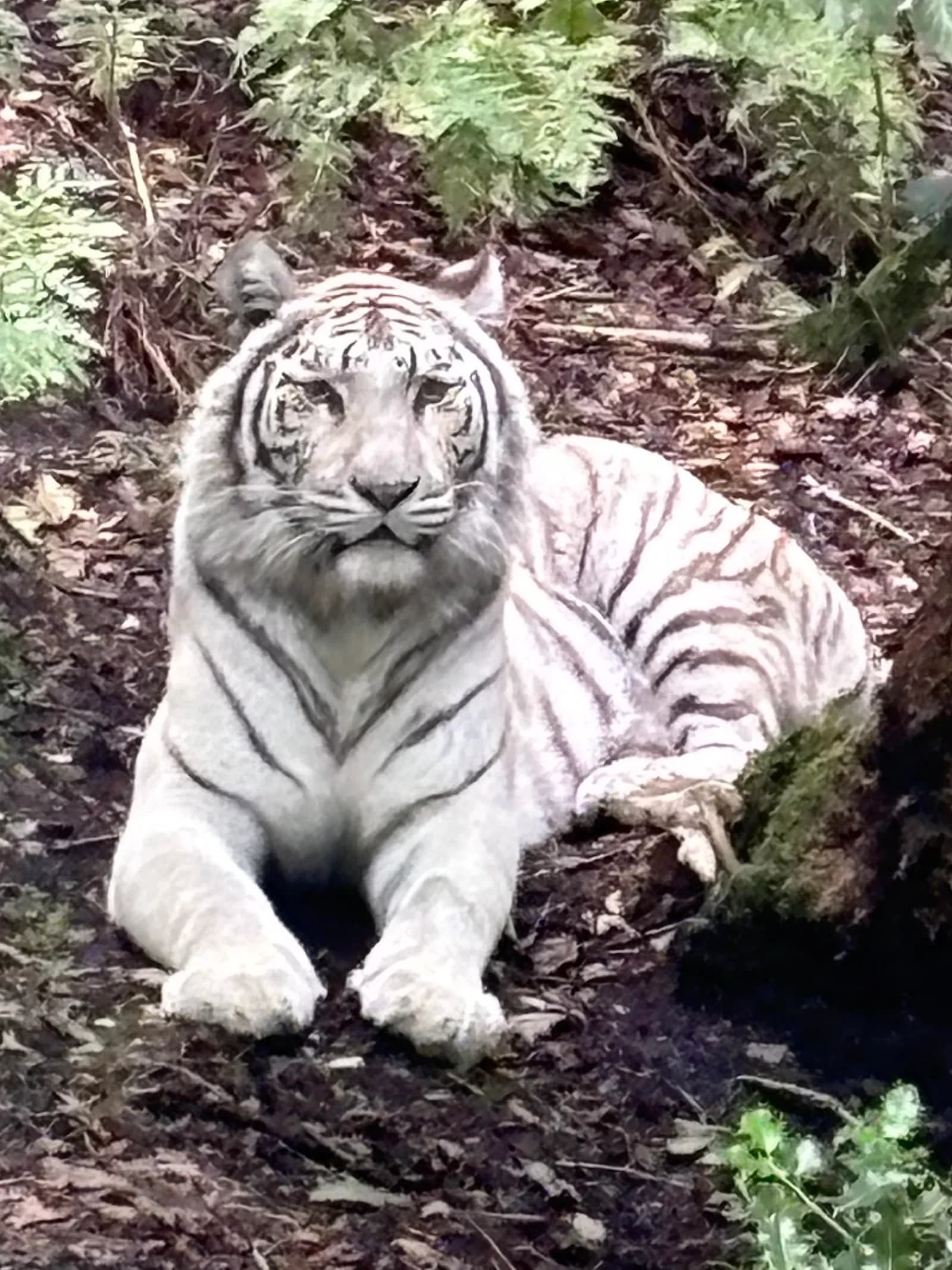 Parc Zoologique de Jurques