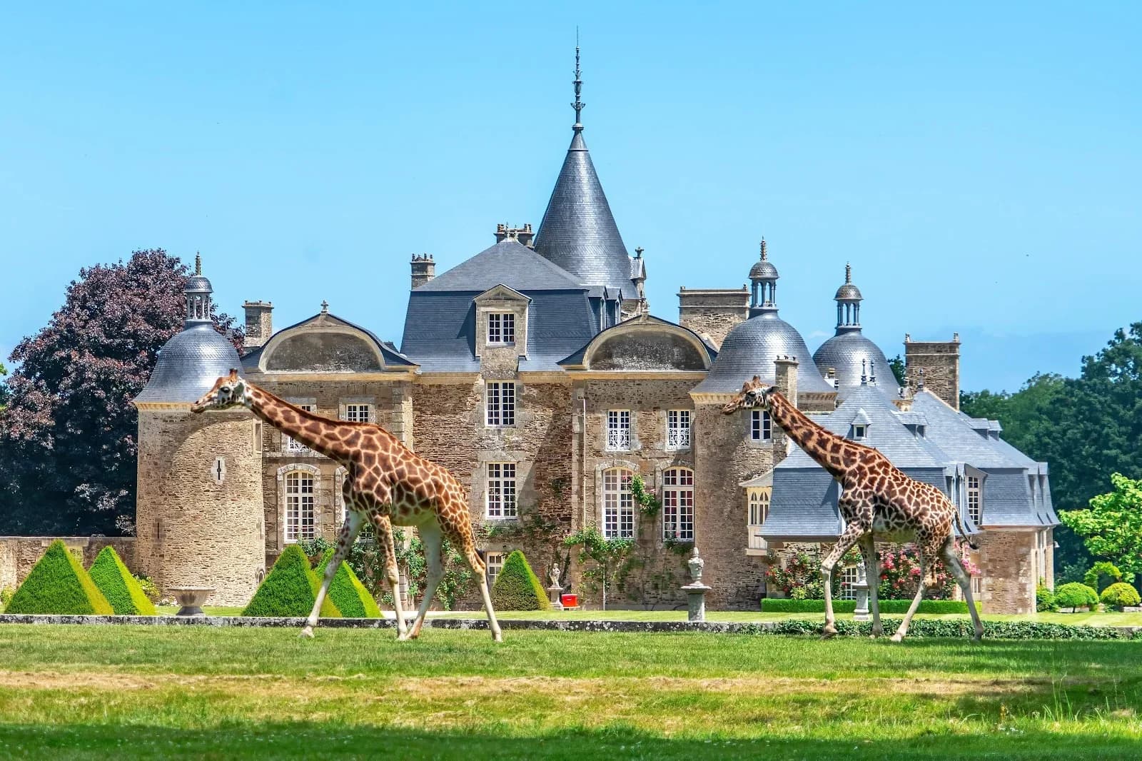 Domaine de la Bourbansais