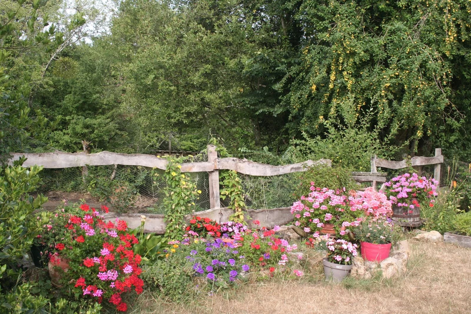 Ecomusée de l'Apiculture