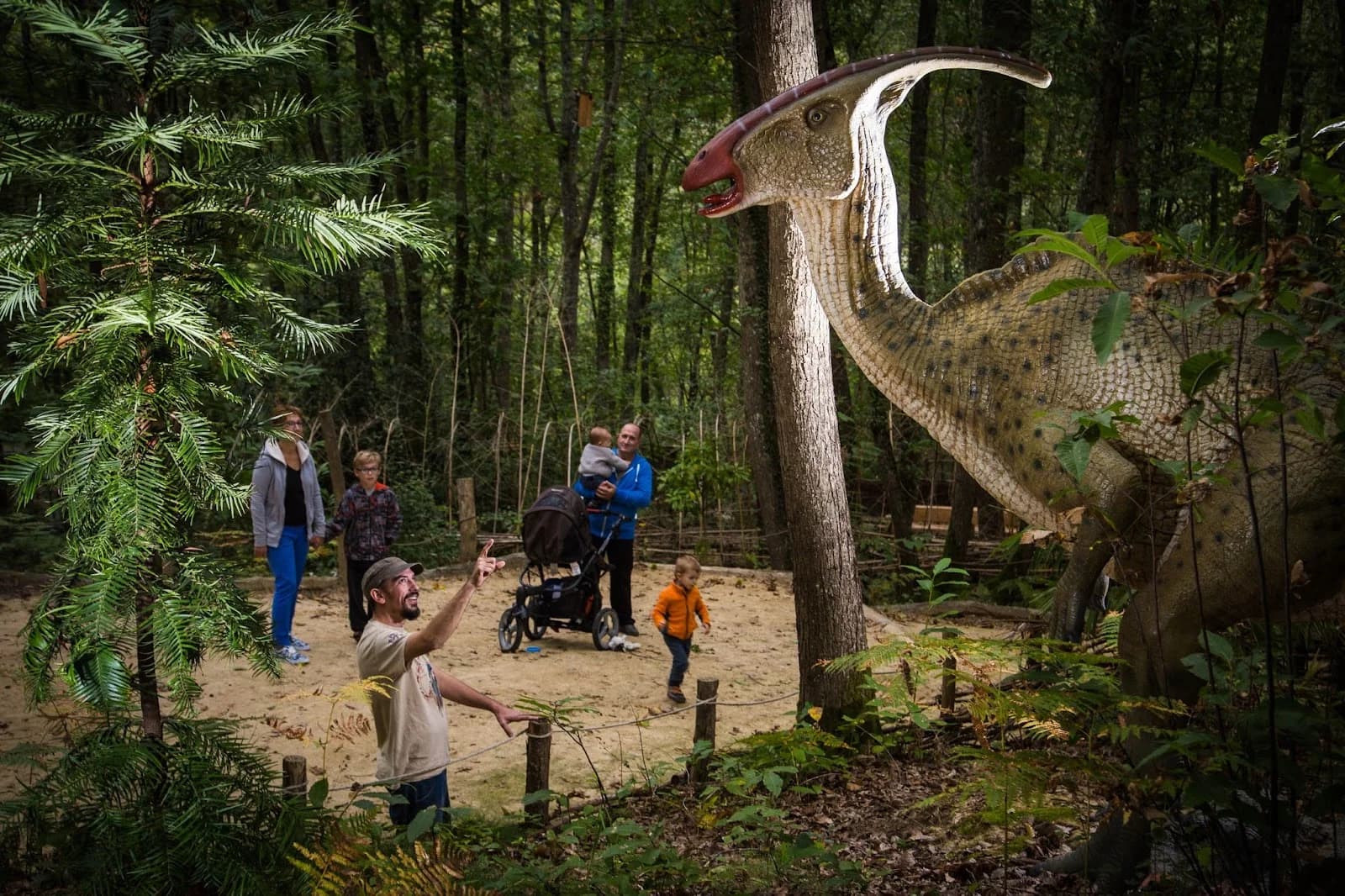 La Forêt aux Dinosaures