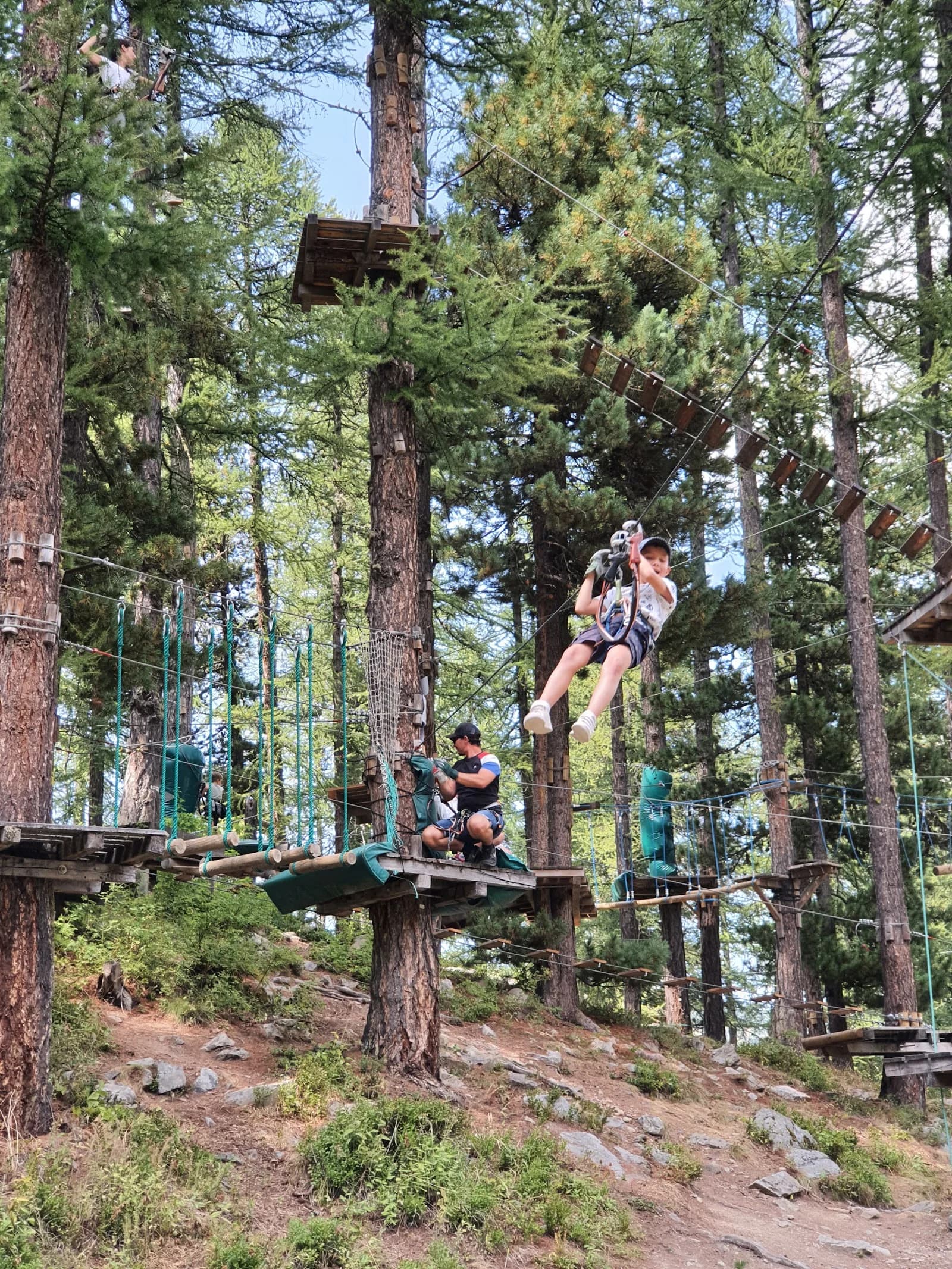 Indian Forest Vars