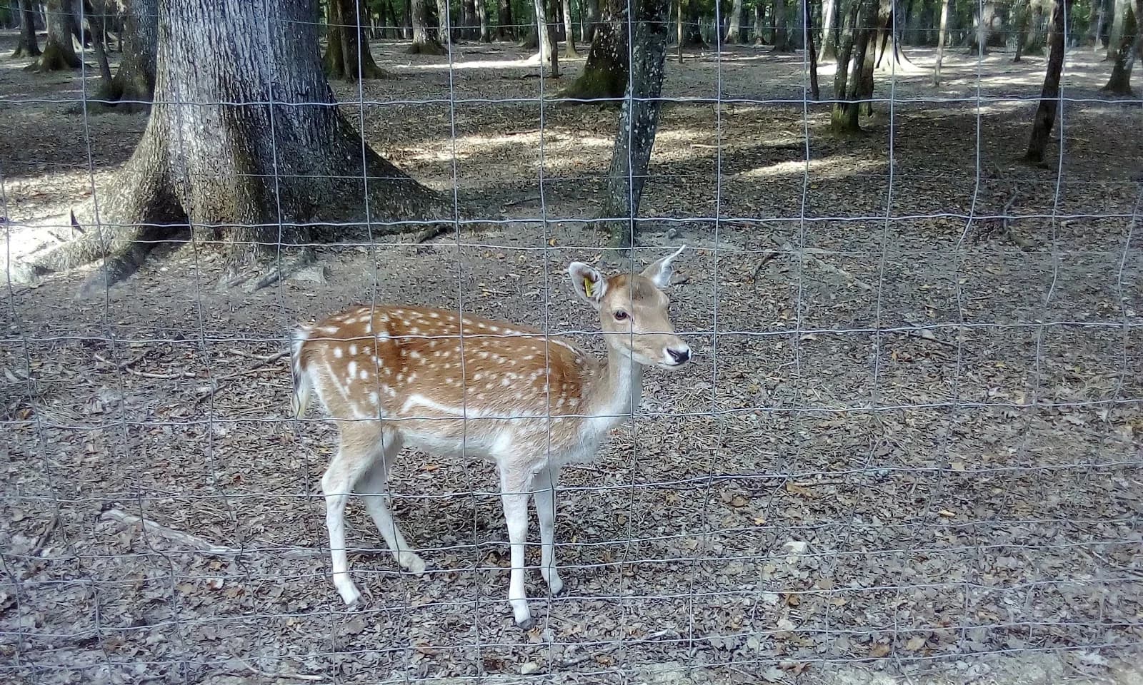 Parc Animalier la Bannie