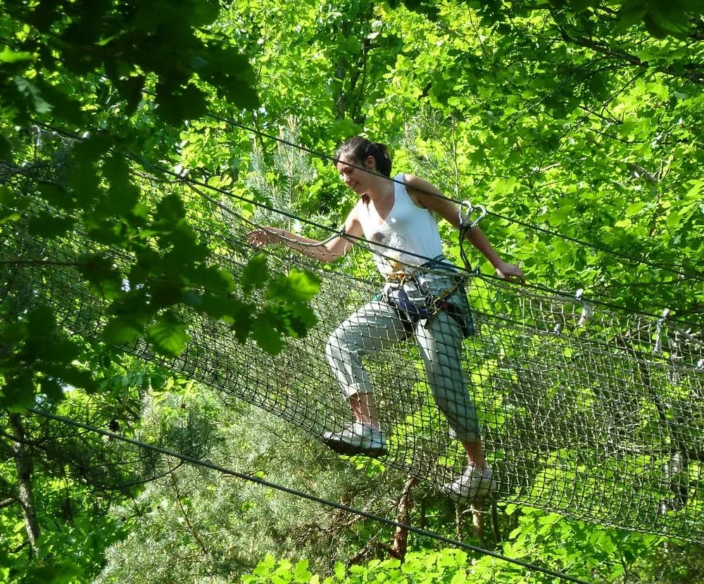 L'appel de la Forêt