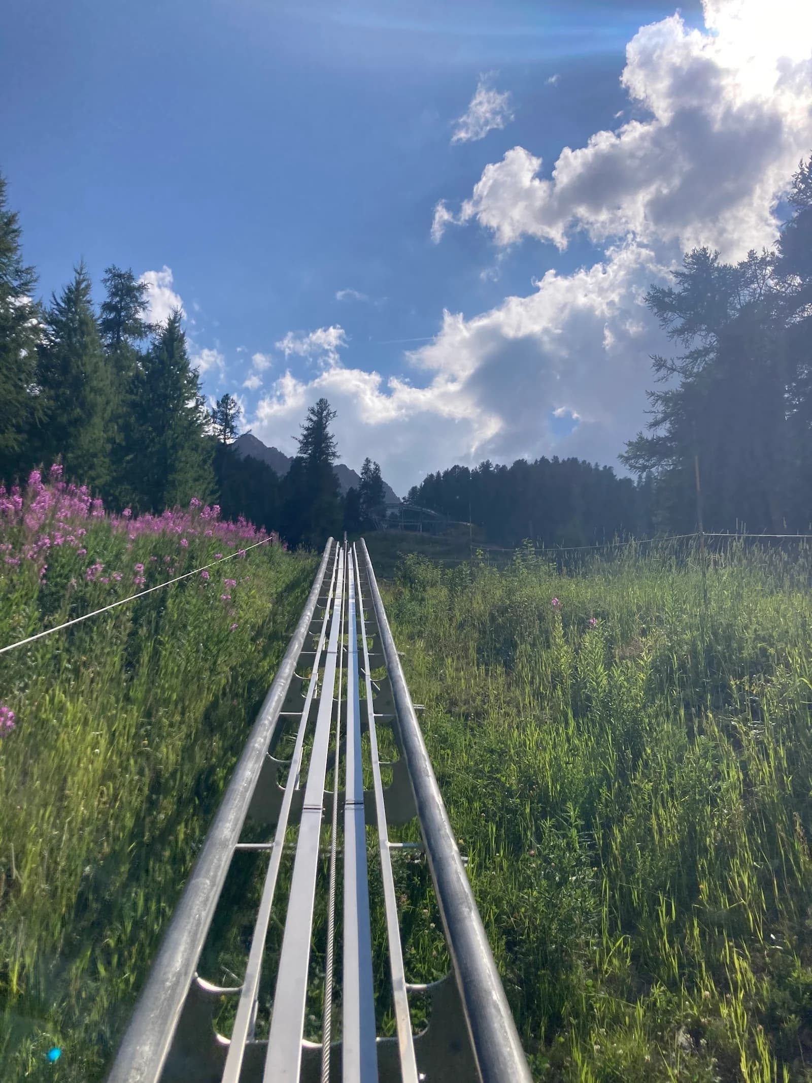 Luge du Caribou