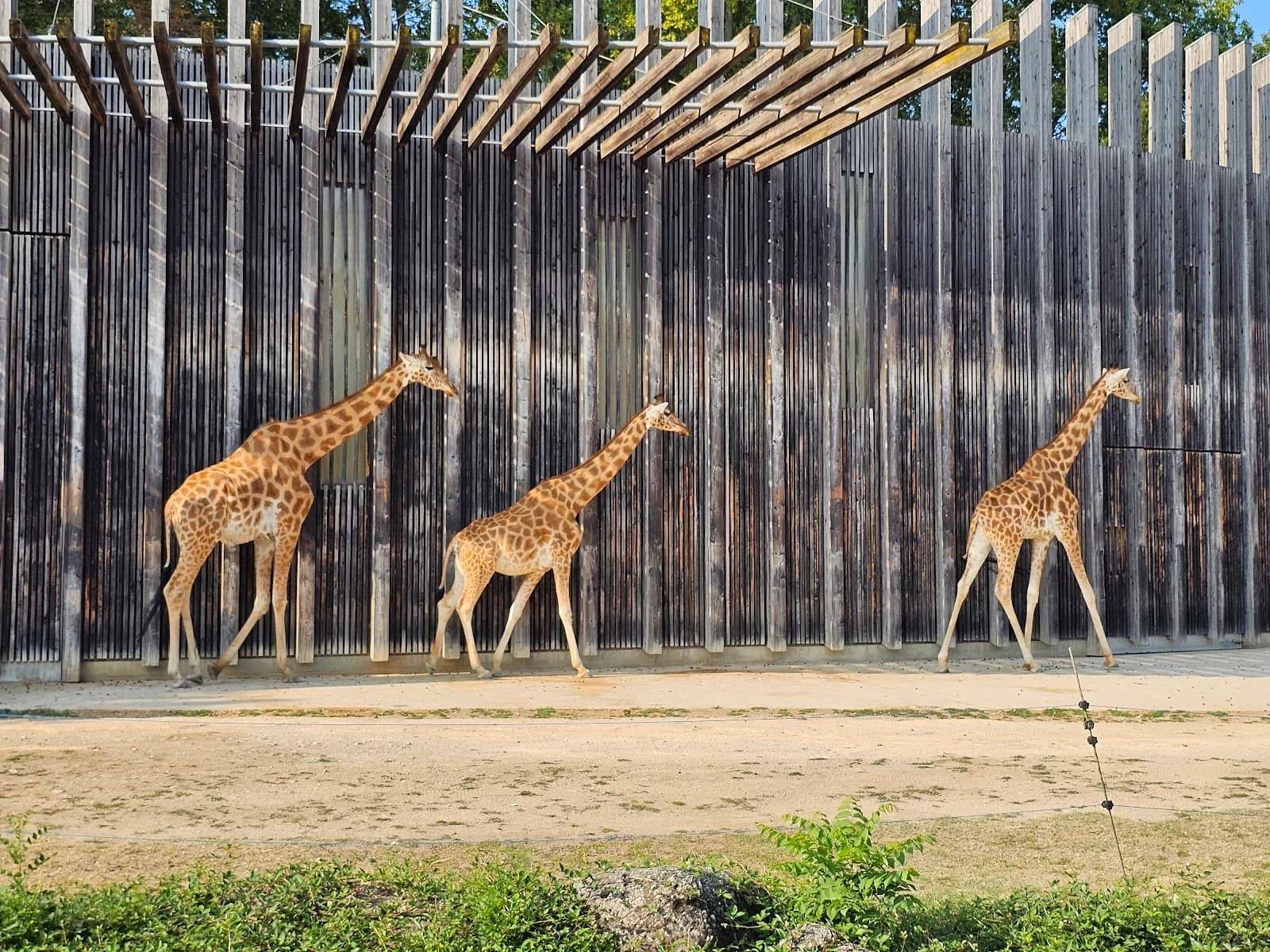 Zoo du parc de la tête d'or