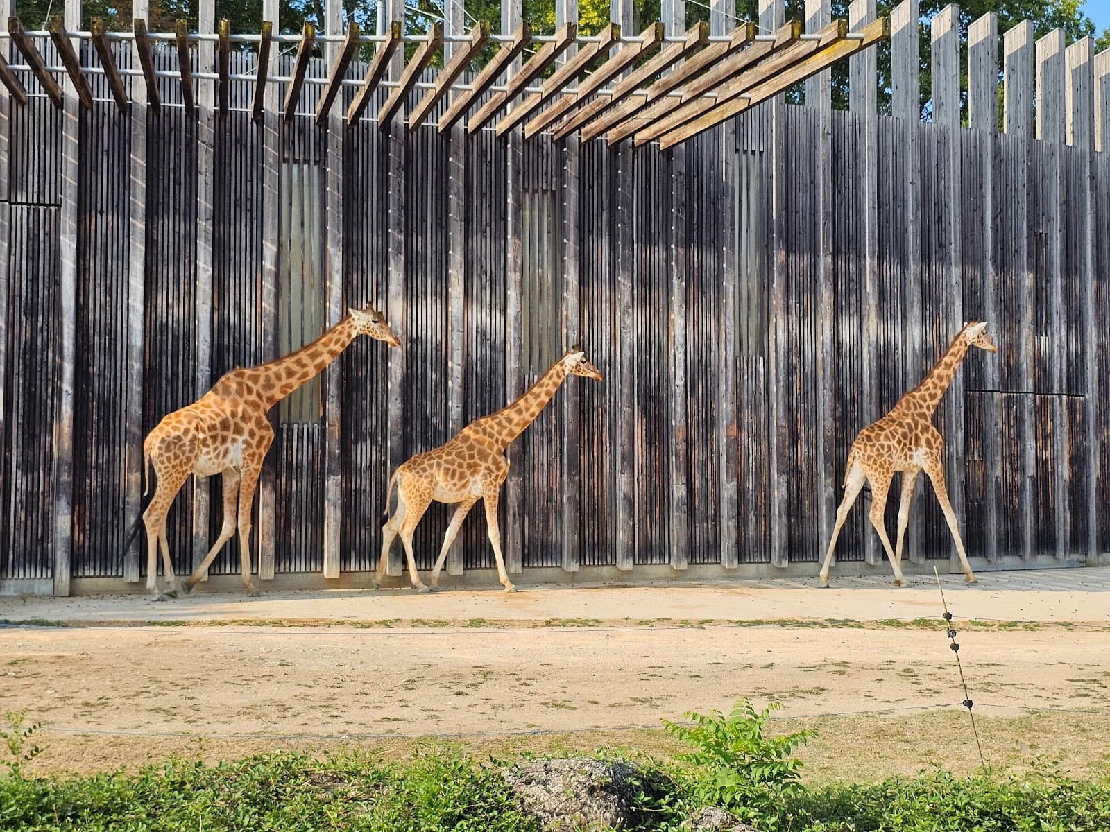 Zoo du parc de la tête d'or