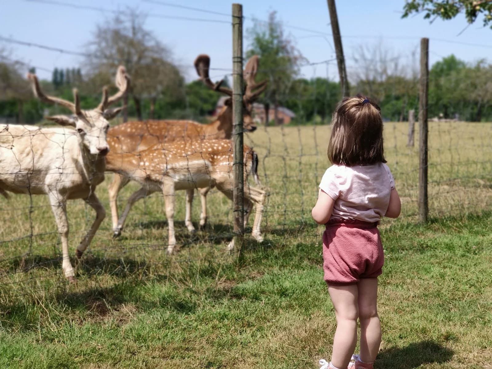 Parc du Waterlin
