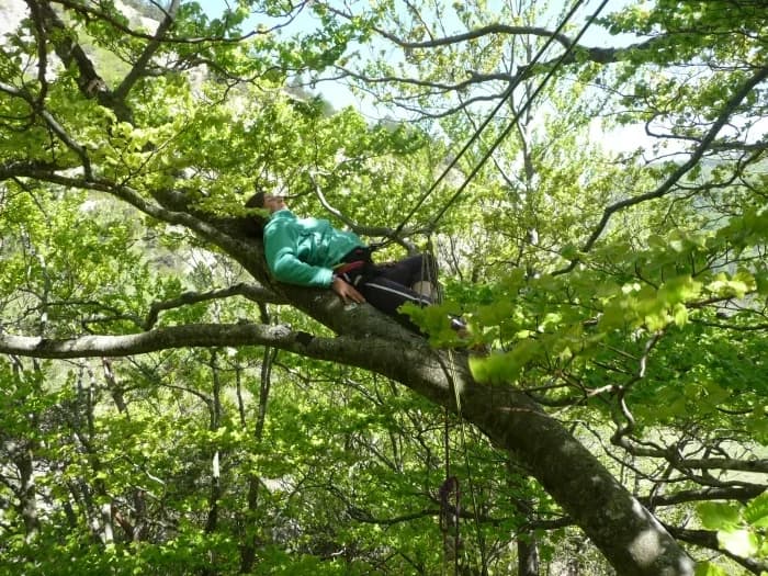 Sam'Branche