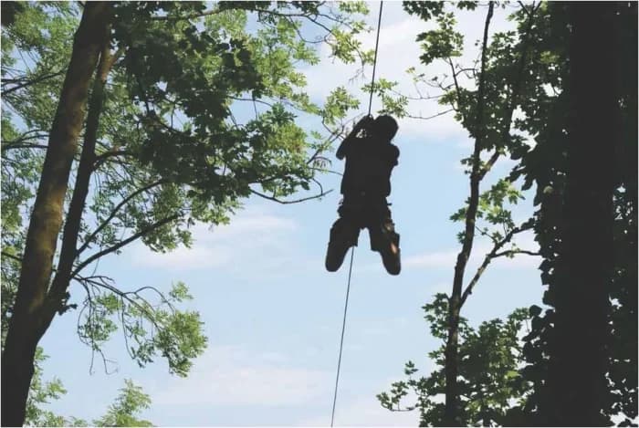 Ecopark Adventures Tournai