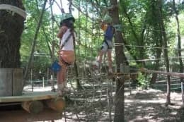 Pitchoun Forest