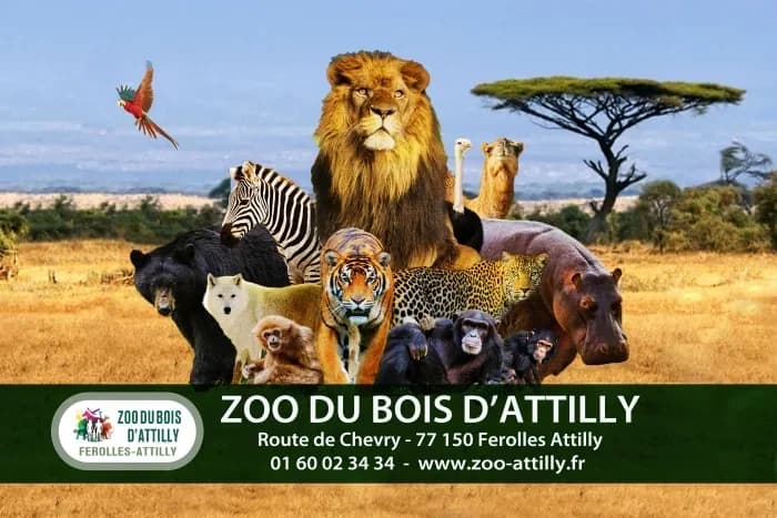 Zoo du bois d'Attilly