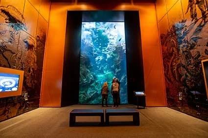 La Cité de la Mer