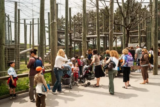 Quels sont les meilleurs zoos et parcs animaliers à visiter en Île-de-France ?