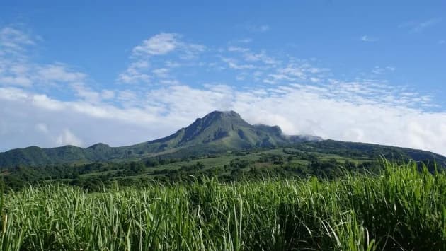 Quelles activités pour un séjour en Martinique ?
