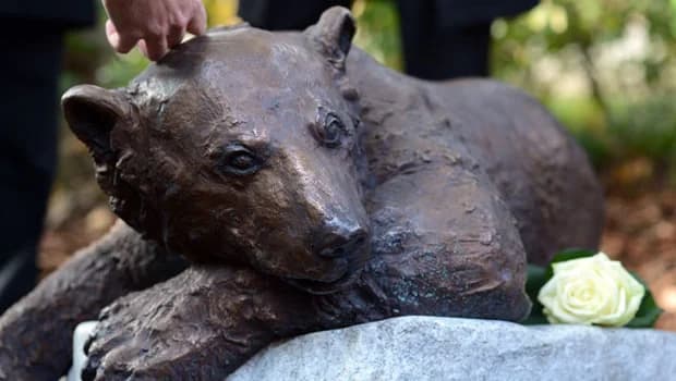 Knut, la star des ours polaires à désormais sa statue au zoo de Berlin !