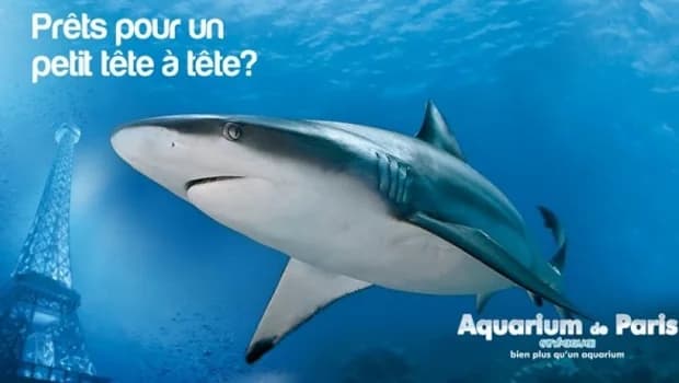 L’Aquarium de Paris ouvre désormais ses portes en nocturne tous les 1er samedis du mois