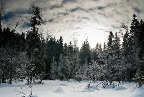 Jura