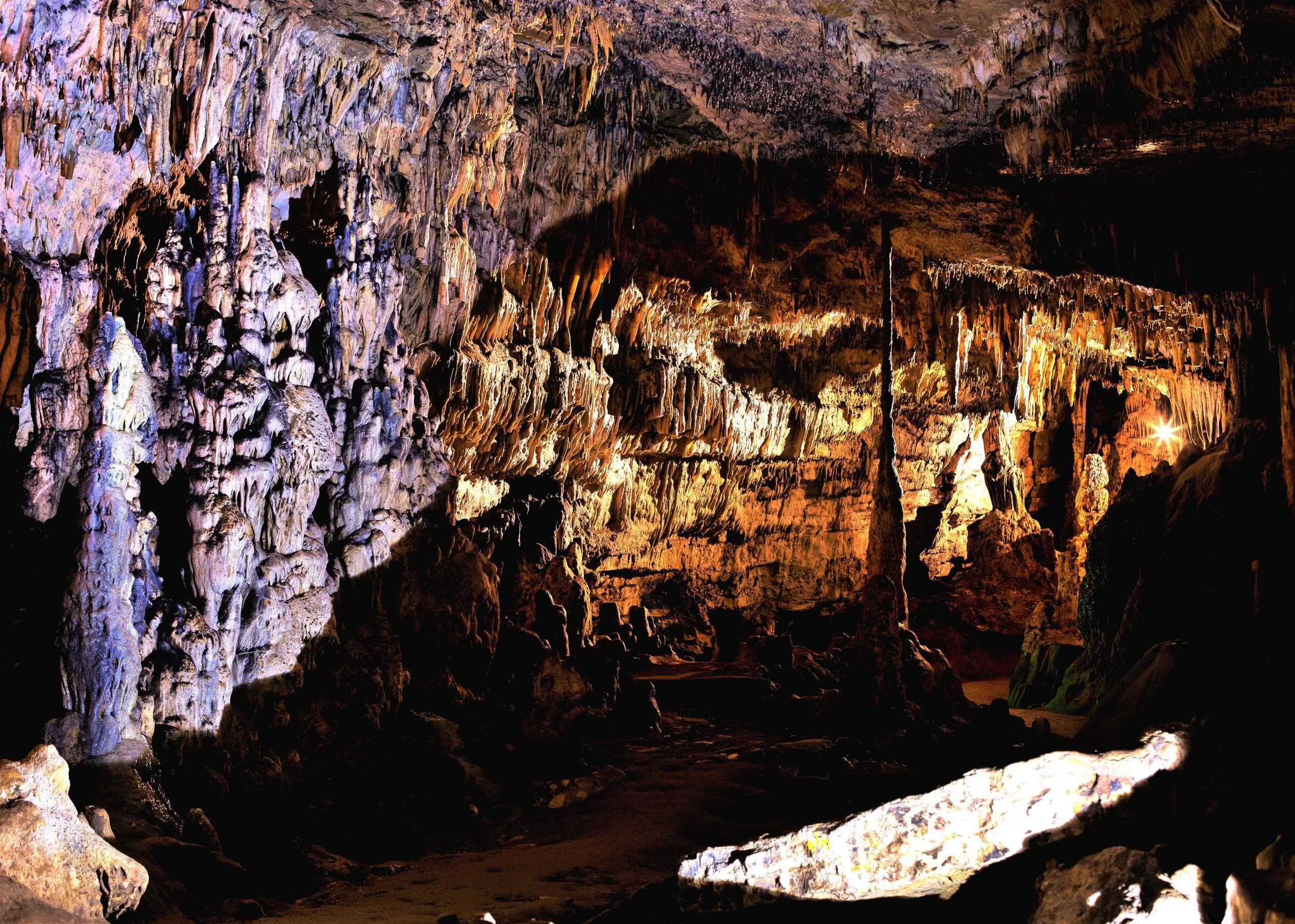 Les Grottes d'Arcy : un voyage préhistorique au cœur de la Bourgogne