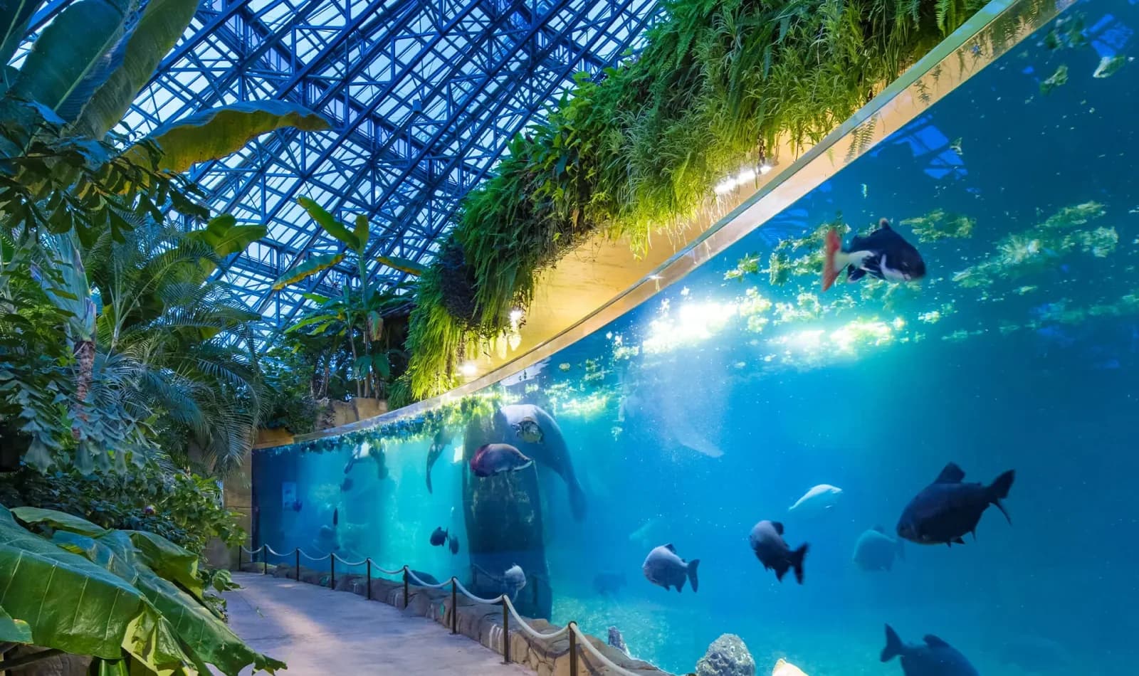Zoo de Beauval : combien de jours pour tout voir ?
