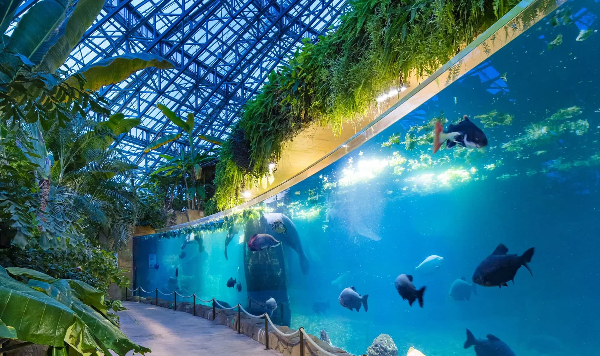 Zoo de Beauval : combien de jours pour tout voir ?